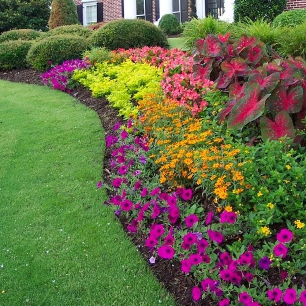 Spring-flower-bed